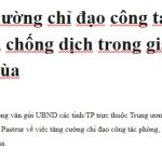 Tăng cường chỉ đạo công tác phòng, chống dịch trong giai đoạn giao mùa