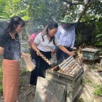 Chủ tịch Hội Nông dân TPHCM cùng đoàn công tác đã đến thăm mô hình nuôi ong mật và trồng bưởi tại xã Minh Thạnh (thuộc tỉnh Bình Dương cũ, nay thuộc TPHCM).