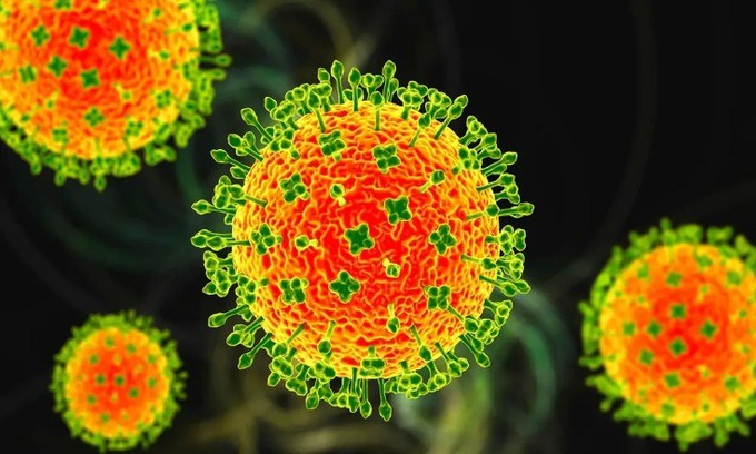 Việt Nam giám sát dịch tễ từ cửa khẩu để phòng chống virus Nipah